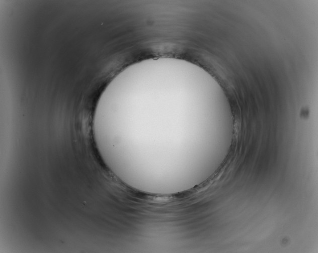 X0000103240671200808281035