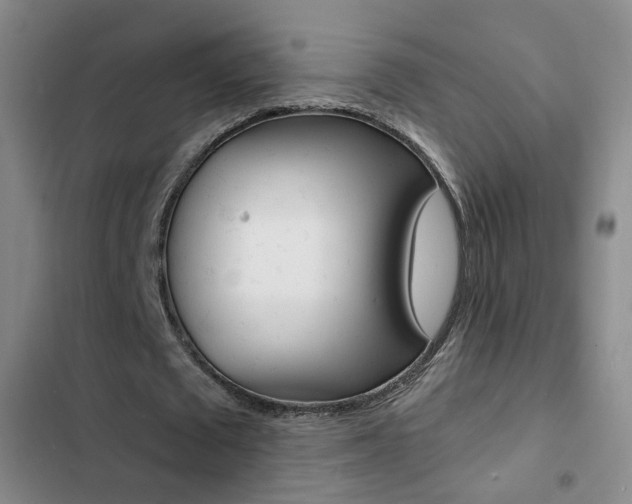 X0000103240673200808281034