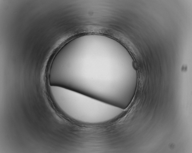 X0000103240674200808281034