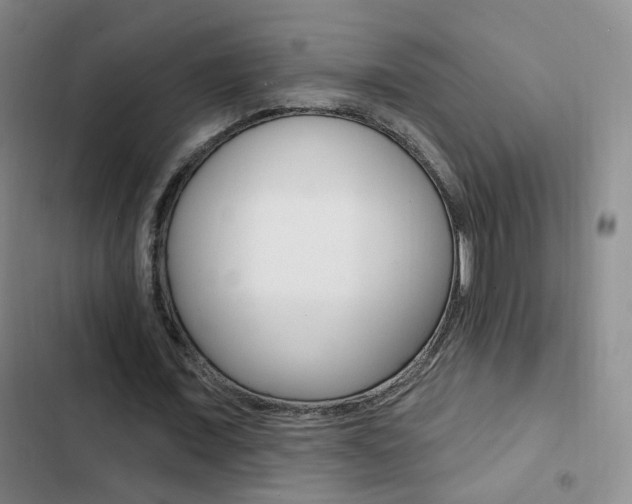 X0000103240675200808281034