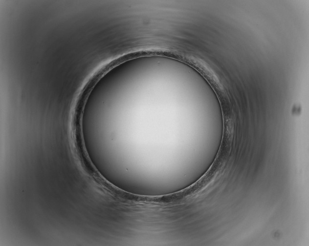 X0000103240676200808281034