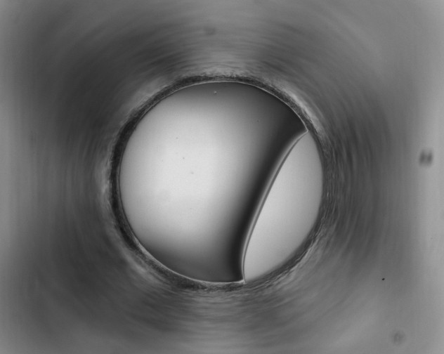 X0000103240677200808281034