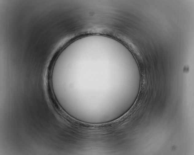X0000103240678200808281034
