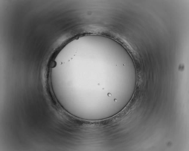 X0000103240679200808281034