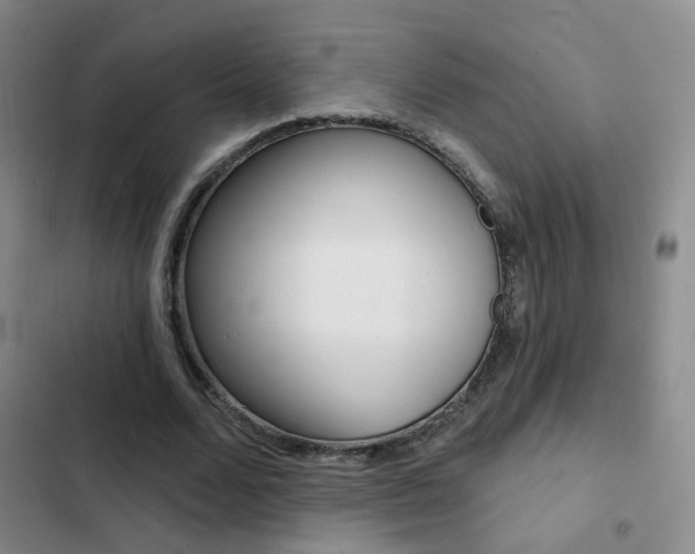 X0000103240680200808281034