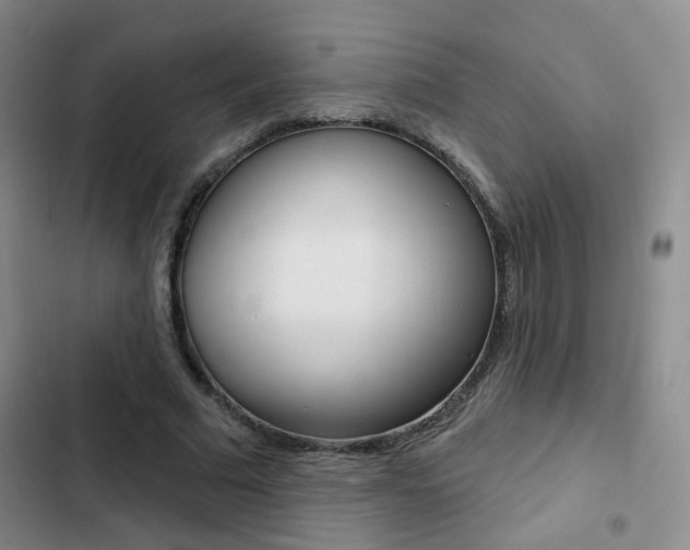 X0000103240681200808281034