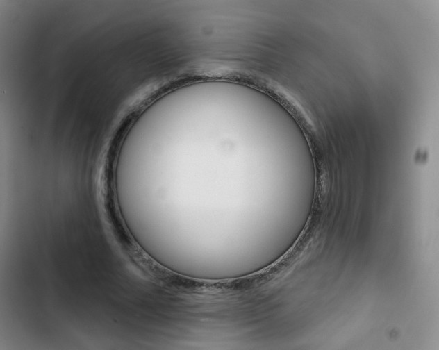 X0000103240682200808281034