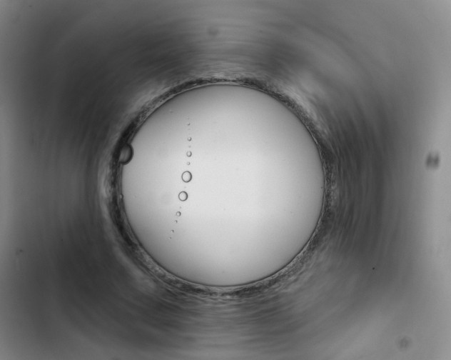 X0000103240683200808281034