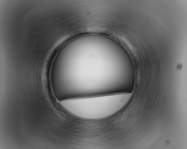 X0000103240684200808281034