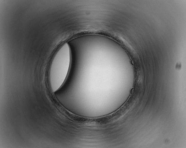X0000103240685200808281034
