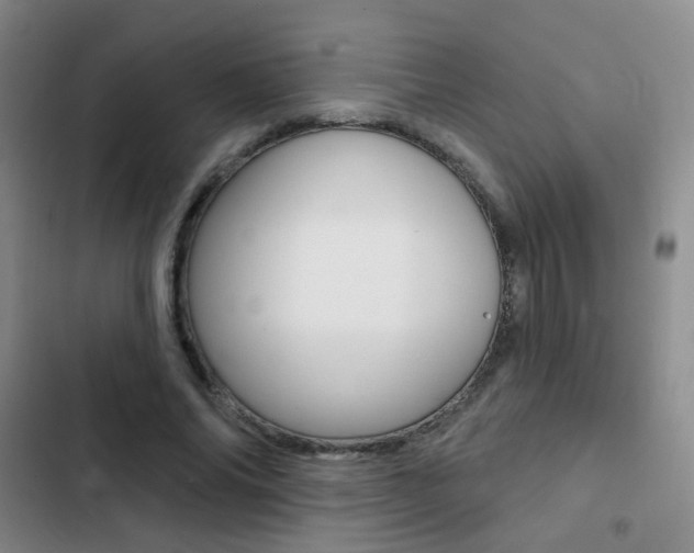 X0000103240686200808281034
