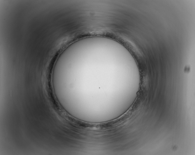 X0000103240687200808281034