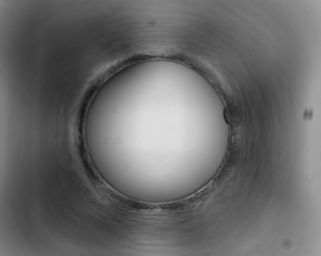X0000103240688200808281034