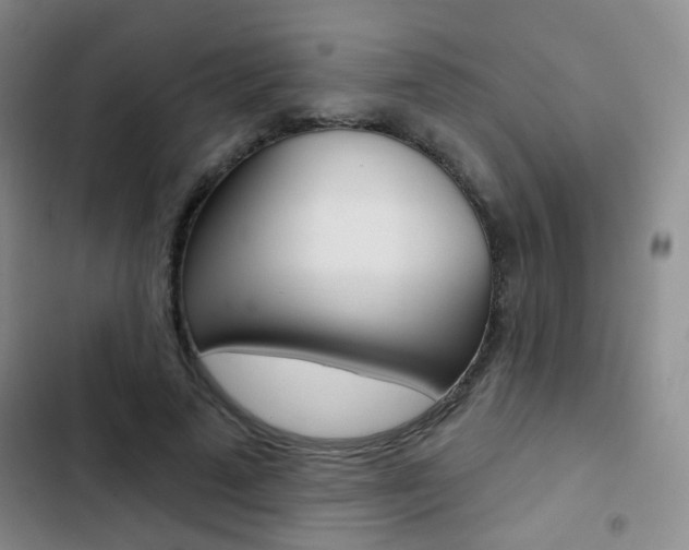 X0000103240689200808281034