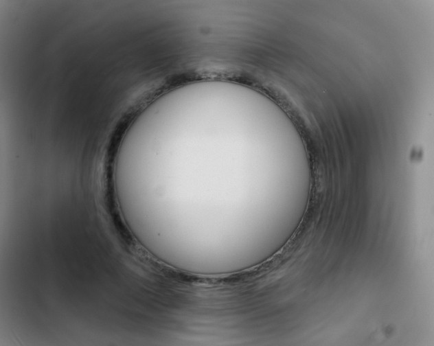 X0000103240690200808281034