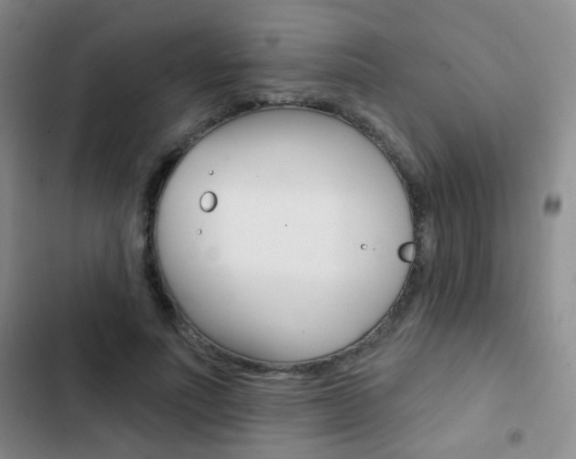 X0000103240691200808281034