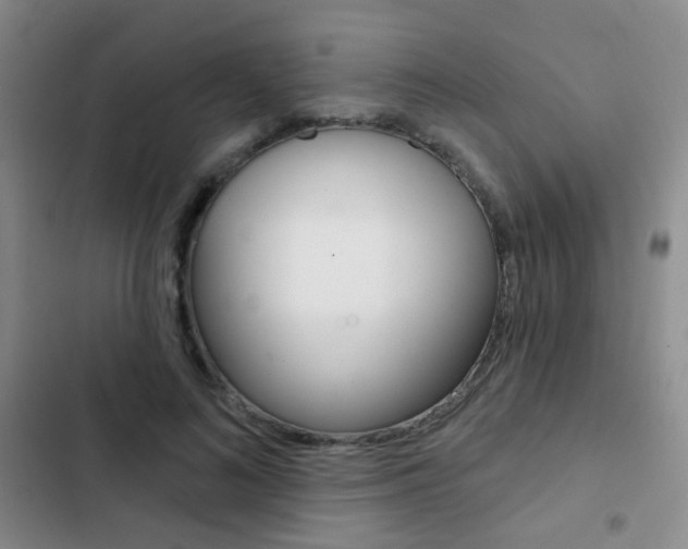 X0000103240692200808281034