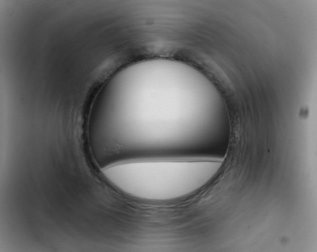 X0000103240693200808281034