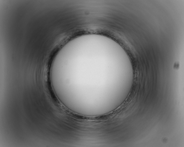 X0000103240694200808281034