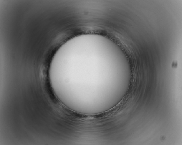 X0000103240695200808281034