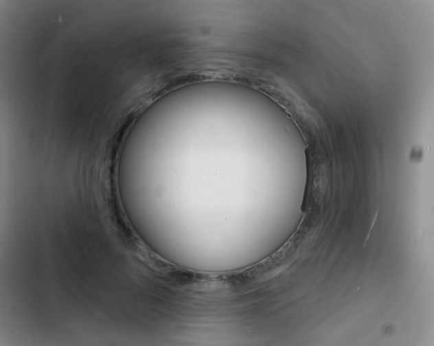 X0000103240696200808281034