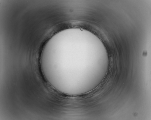 X0000103240698200808281034