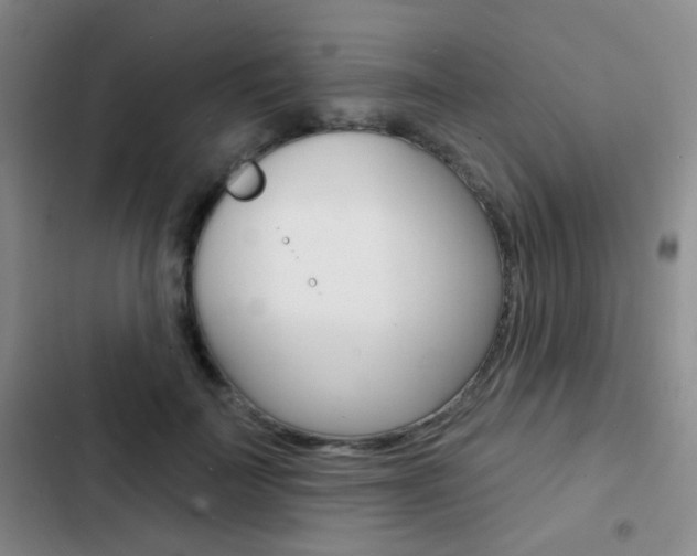X0000103240699200808281034