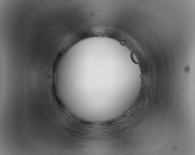 X0000103240702200808281034