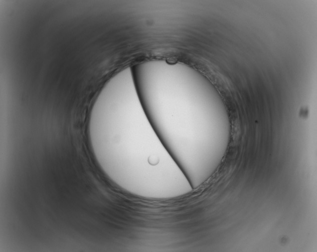 X0000103240703200808281034