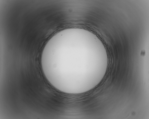 X0000103240704200808281034