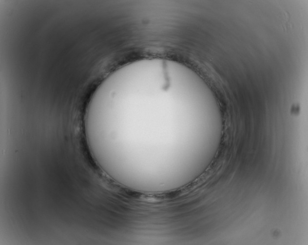 X0000103240706200808281033