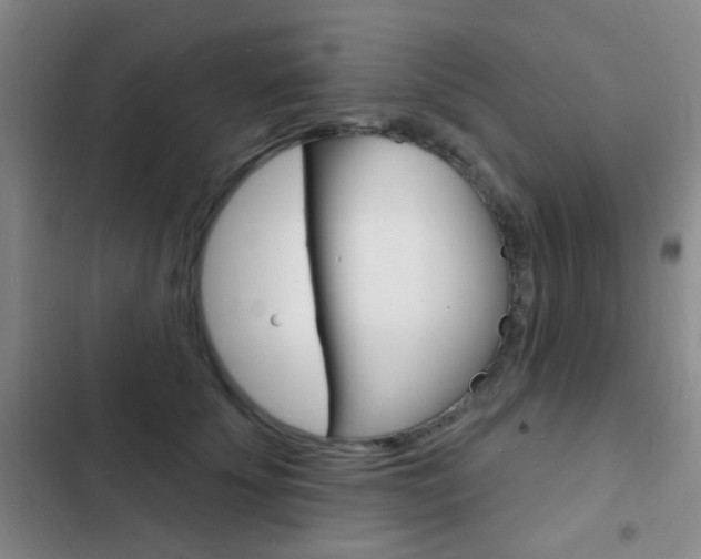 X0000103240707200808281033