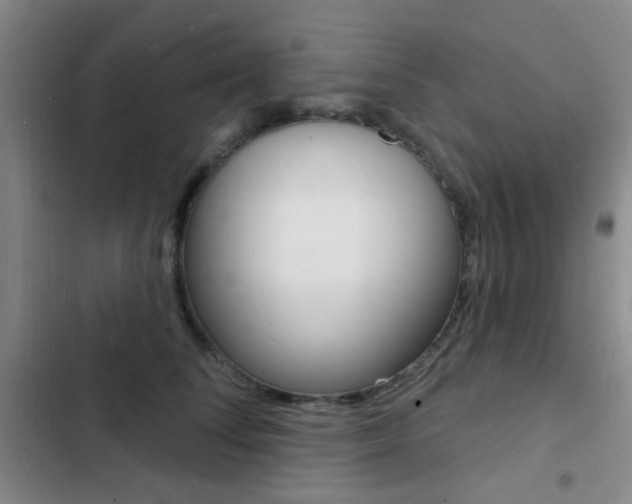 X0000103240708200808281033