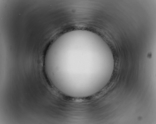 X0000103240710200808281033