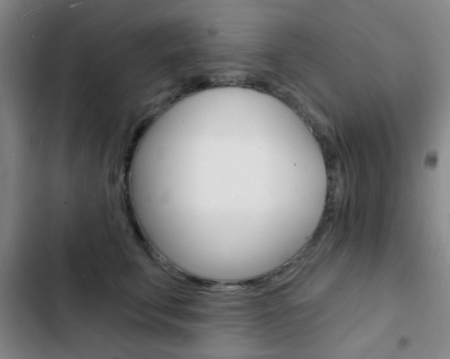 X0000103240711200808281033
