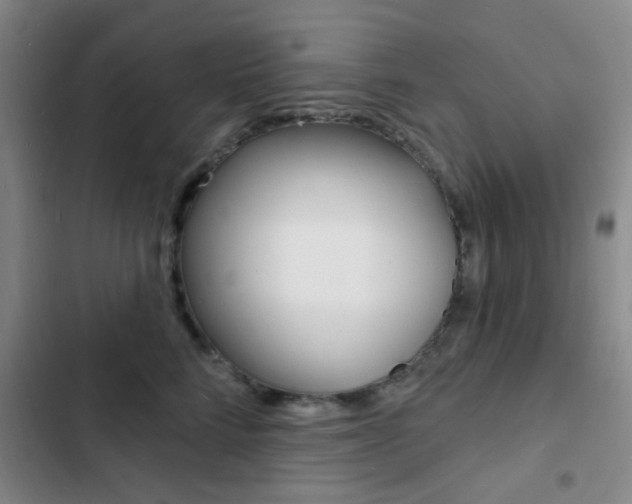 X0000103240712200808281033