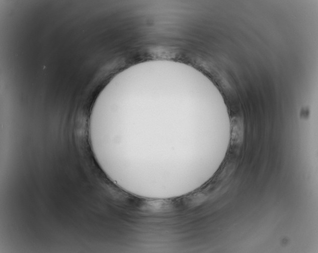 X0000103240713200808281033