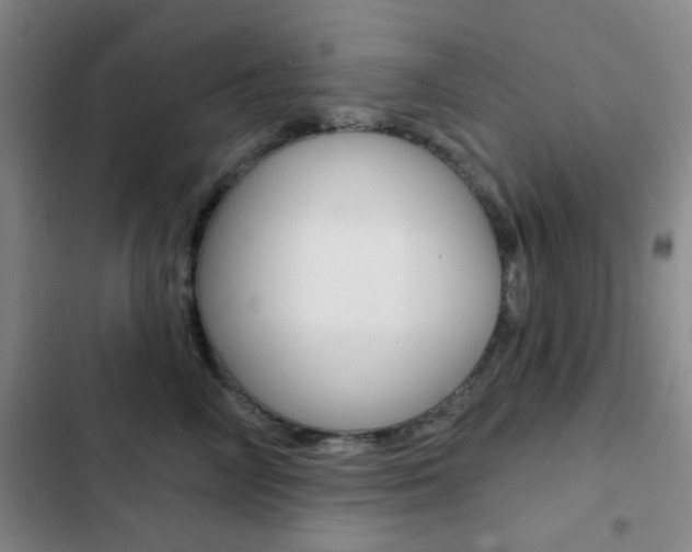 X0000103240714200808281033