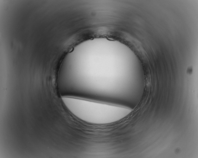 X0000103240715200808281033
