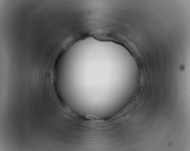 X0000103240716200808281033