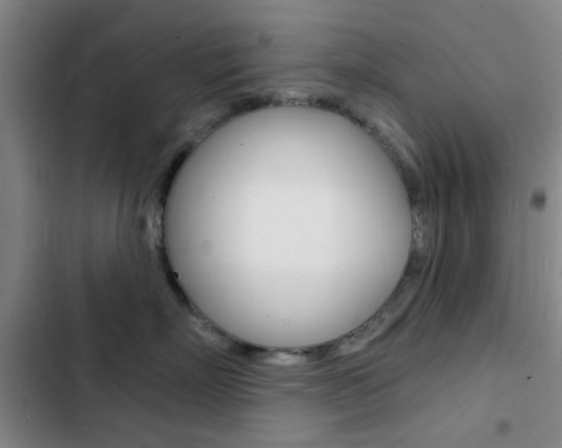 X0000103240718200808281033