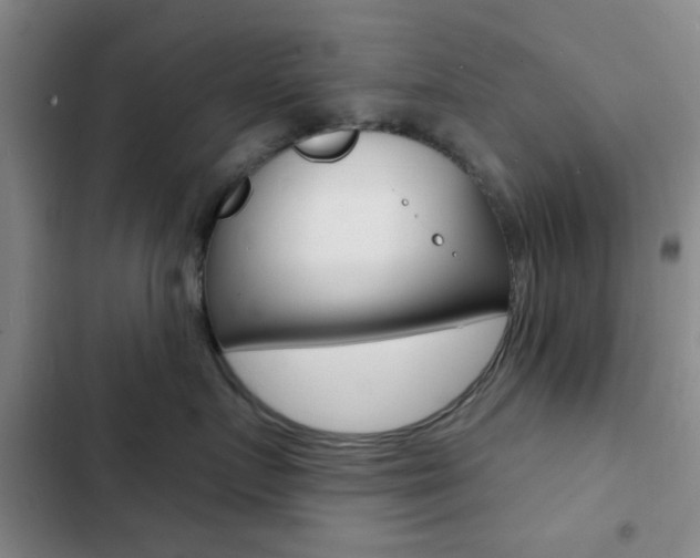 X0000103240719200808281033
