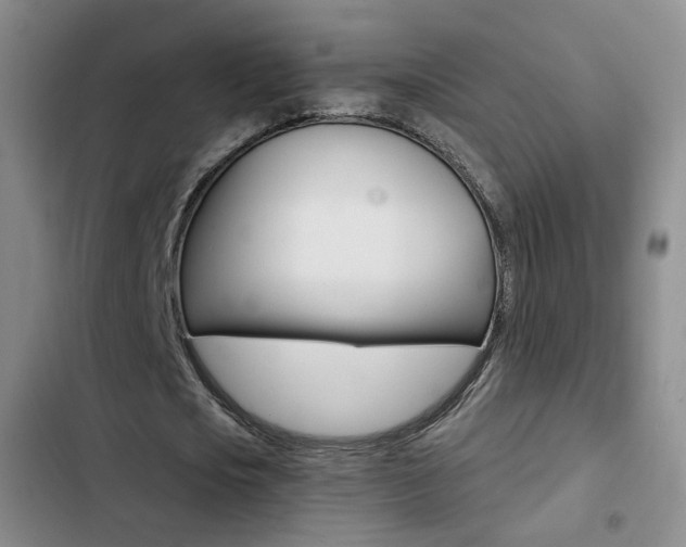 X0000103240721200808281033