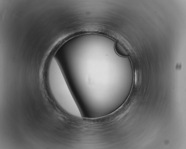 X0000103240723200808281033