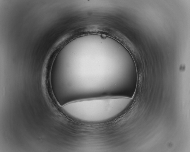 X0000103240724200808281033