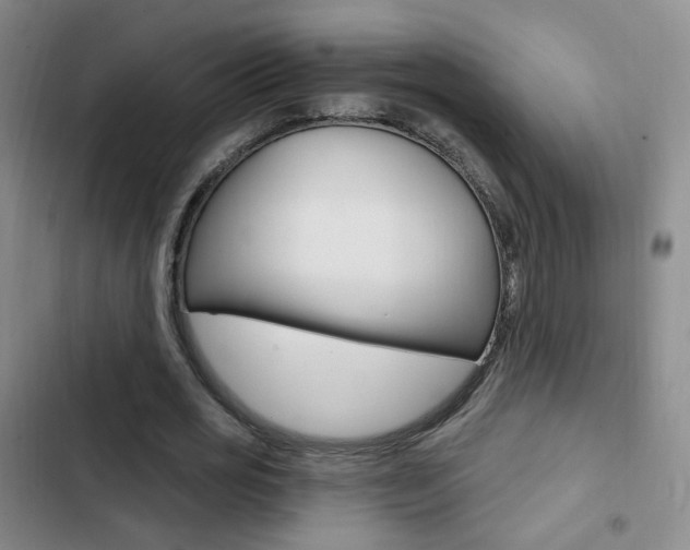 X0000103240725200808281033