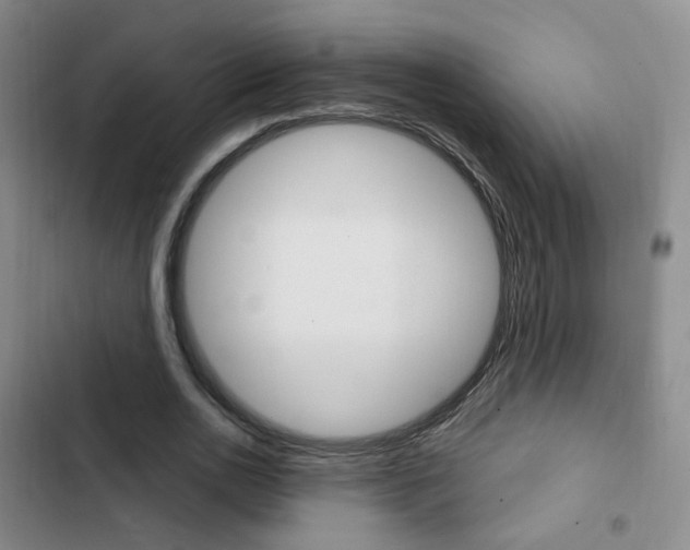 X0000103240726200808281033
