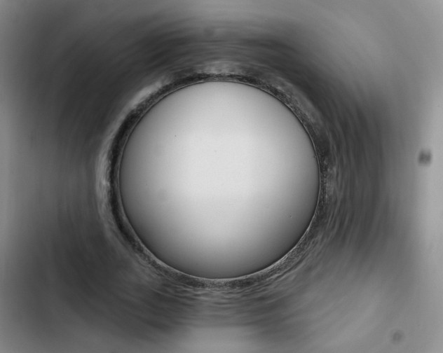X0000103240727200808281033