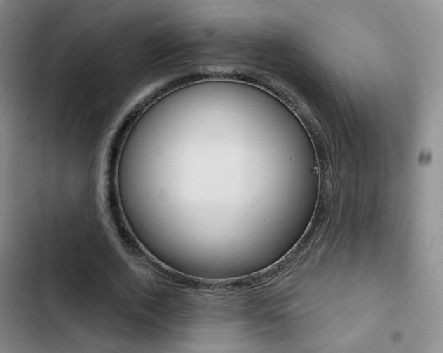 X0000103240728200808281033