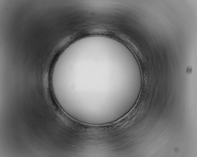 X0000103240729200808281033